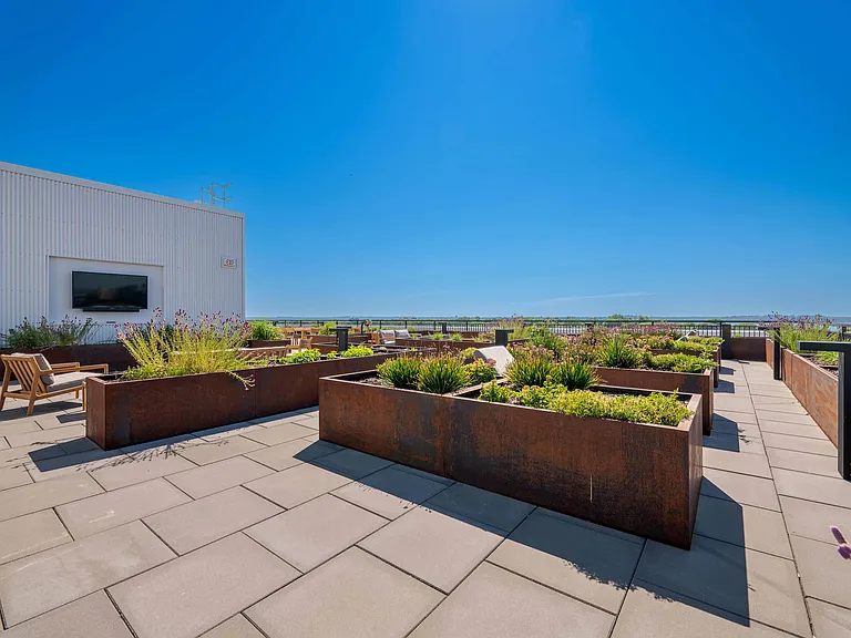 Rooftop Patio