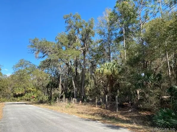 12400 W Cranesbill Pl, Crystal River, FL 34428