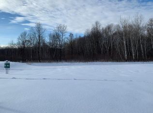 81 Rapp Farm Pl, North Oaks, MN 55127