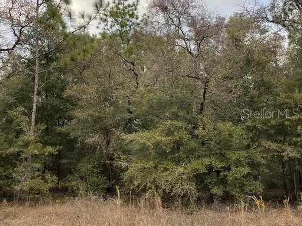 0 SW 94th Ln #5, Dunnellon, FL 34432