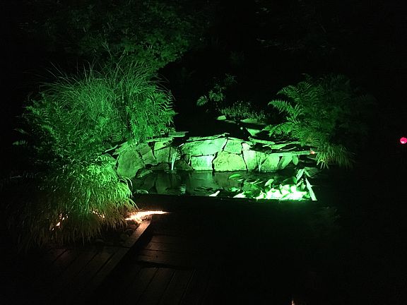 Night time lit pond
