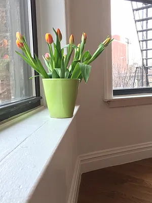 Rented by Dwell Residential Inc | media 20