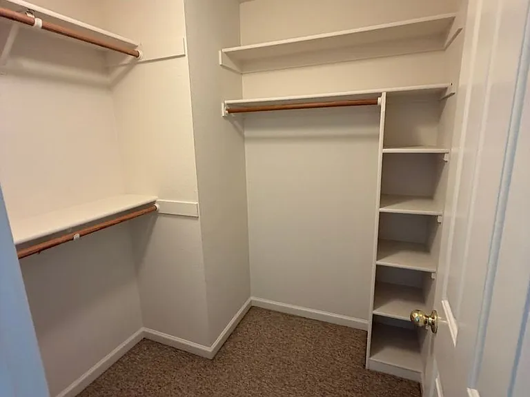 1502 Castro St — Photo 10