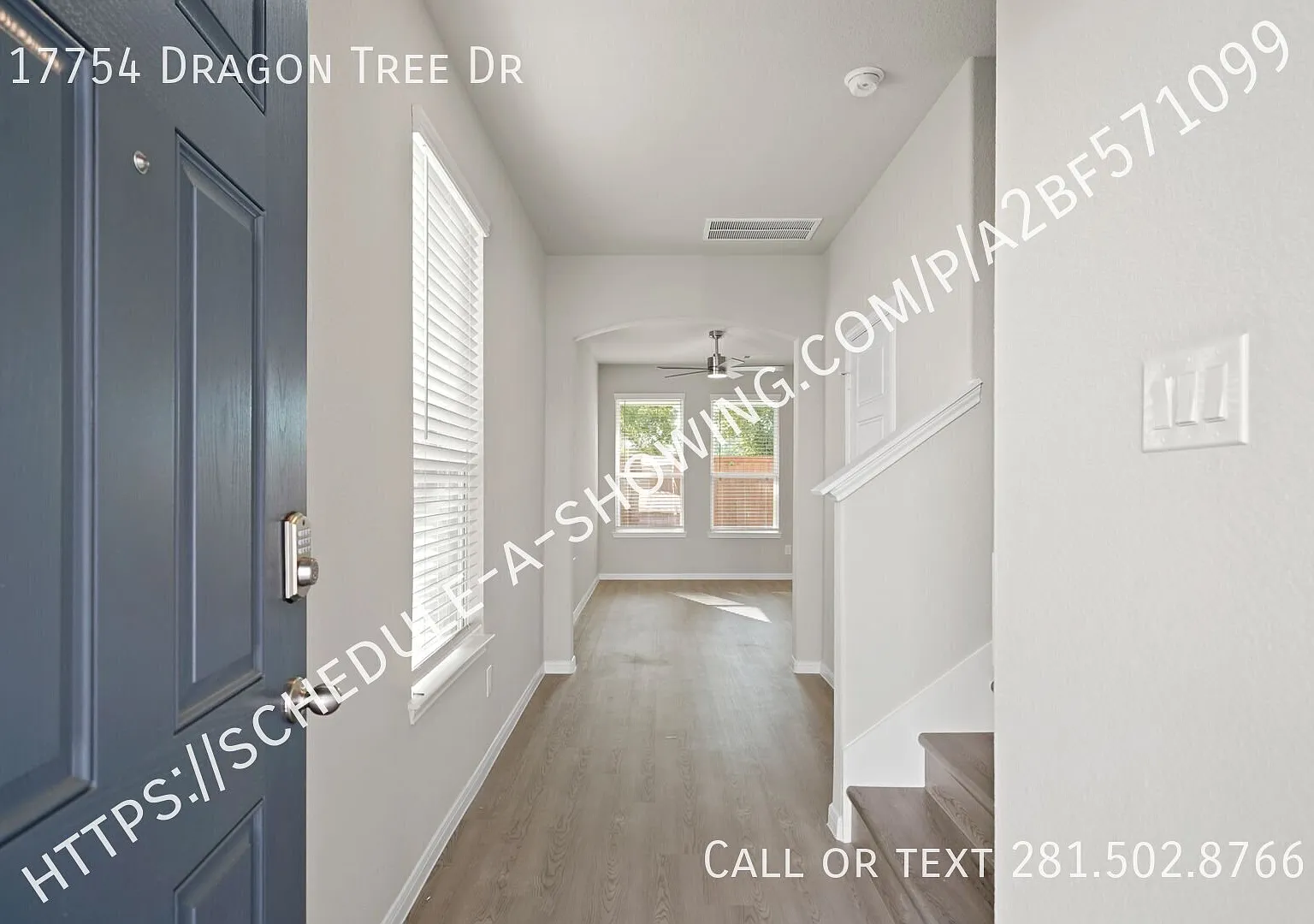 Special Available! — Photo 2