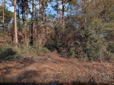 5020 Joseph St, Hastings, FL, 32145