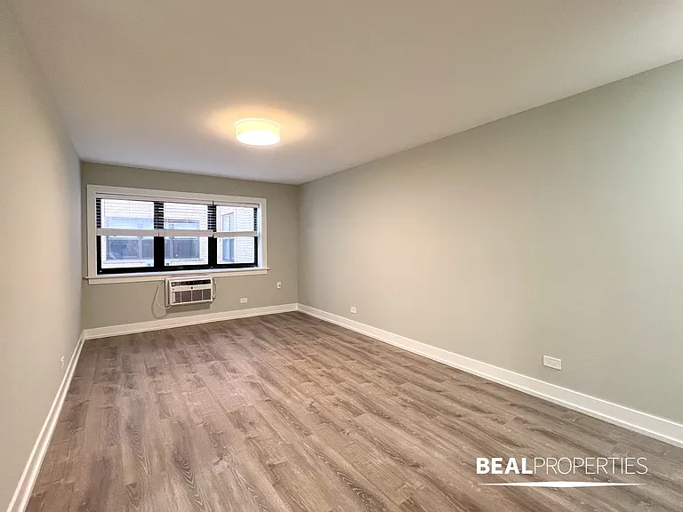 445 W Barry — Photo 78