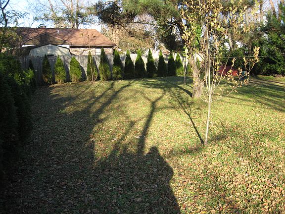 Back yard of lot