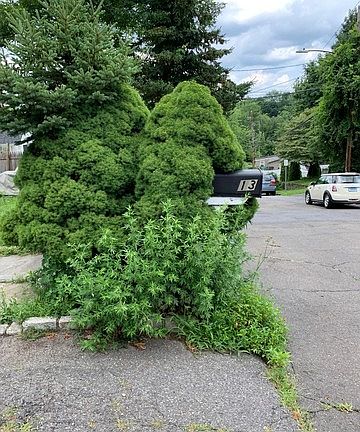 Exterior Address Verification