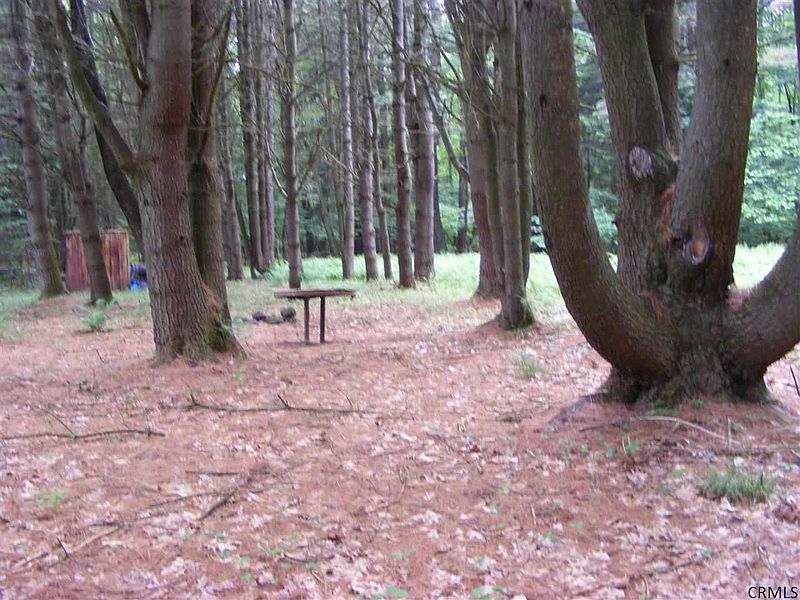 3rd image of SEVEN HILLS Road