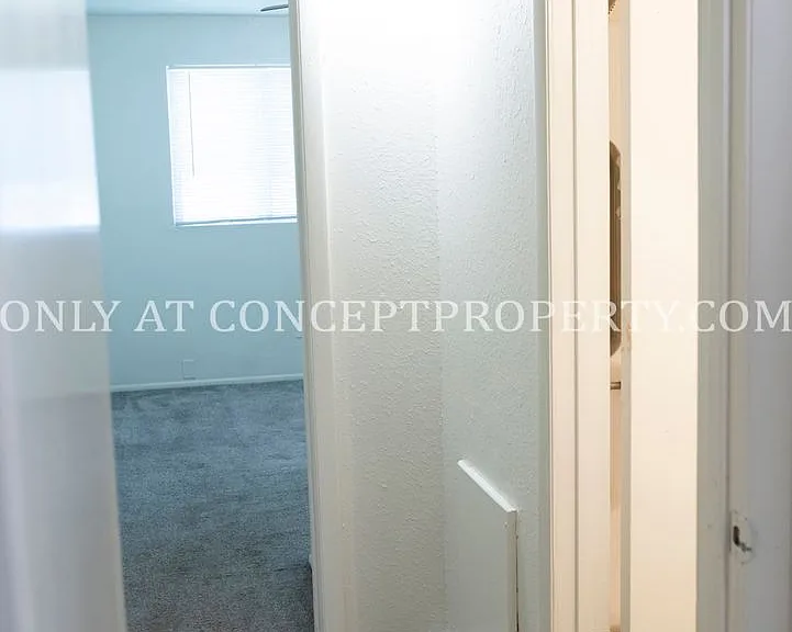 Aspen Pines — Photo 215