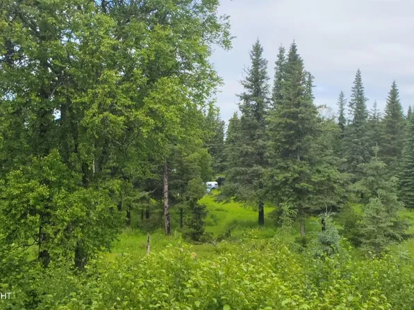 67164 Deep Creek Rd, Ninilchik, AK 99639
