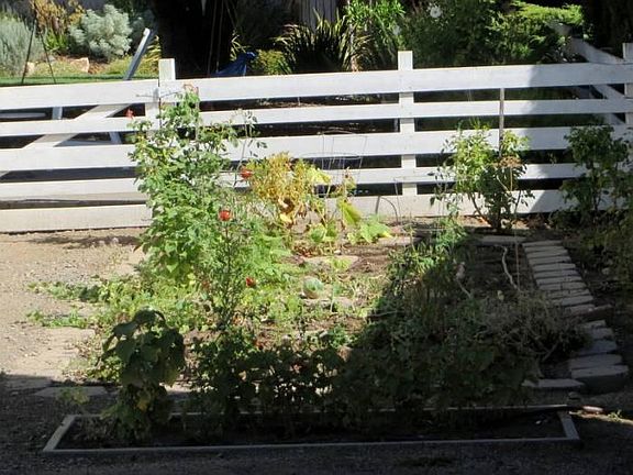 Vegetable Garden