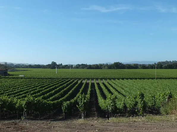 1099 Bayview Ave, Napa, CA 94559