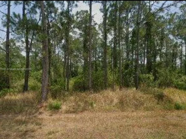 5112 Manati Ave, Sebring, FL 33870