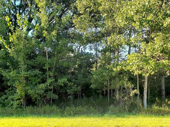 7676 Lincoln Rd, Elwell, MI 48832