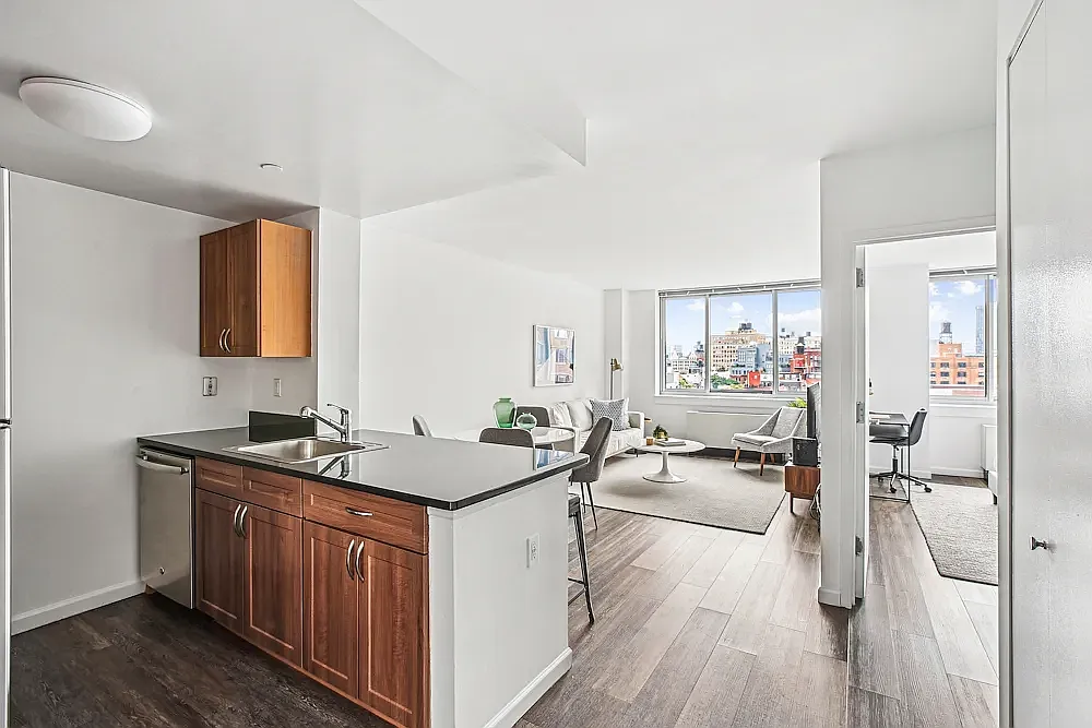 229 Chrystie Street — Photo 2