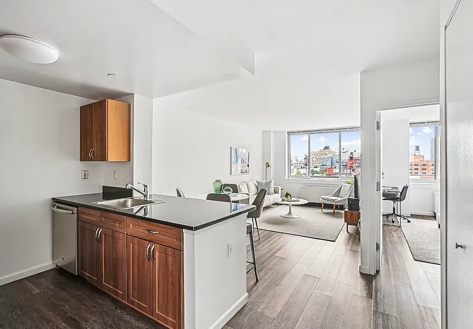 229 Chrystie St #613