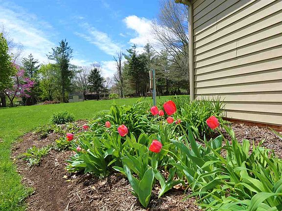 5th image of 31 Spring Ct