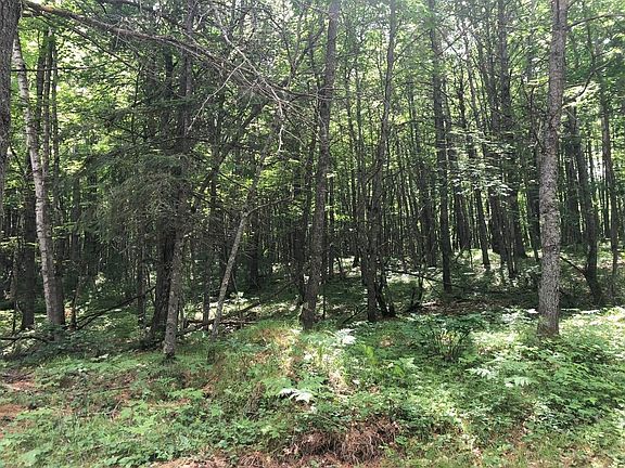 4th image of LOT Star Lake Rd