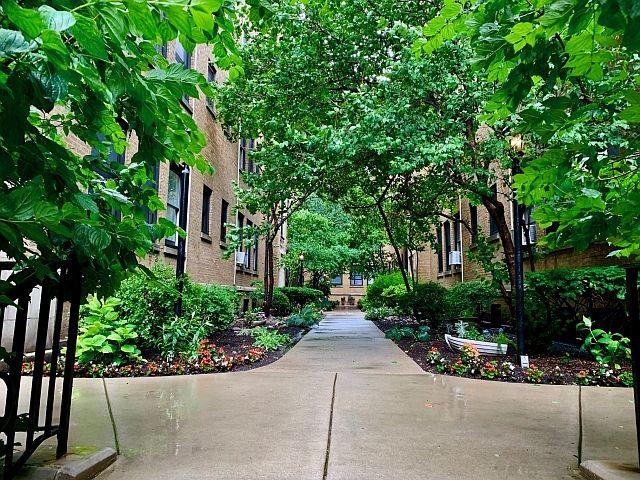 1st image of 626 W Waveland Ave APT 4D