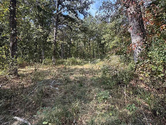 3rd image of 0 N Decker Rd