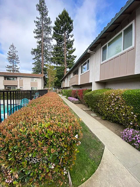 2 bed, 1150 sqft, $3,600 — Photo 3