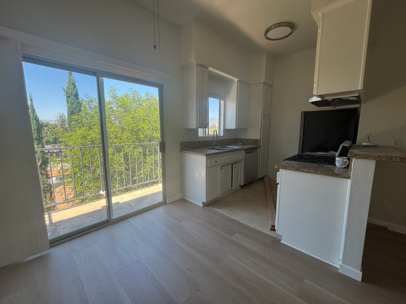 2 bed, 1000 sqft, $2,750 — Photo 4