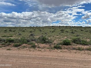 TBD 40 Acres Carrizo Ranch -- #249, St Johns, AZ 85936