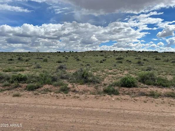 TBD 40 Acres Carrizo Ranch -- #249, St Johns, AZ 85936