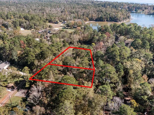 0 E Lakeview Dr Lot 10 & 11, Pointblank, TX 77364