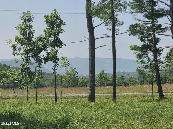 L15.21 Zimmer Road, Berne, NY 12023