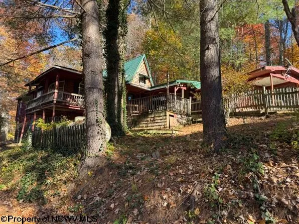 1570 Indian Lick, Mill Creek, WV 26280
