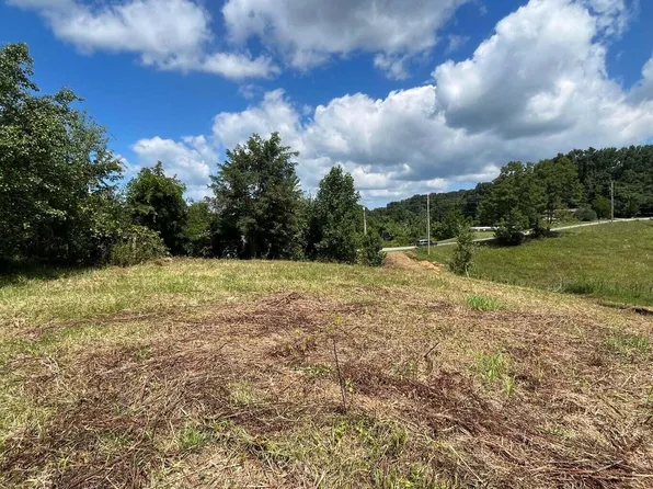 1411 Fairview Rd, Afton, TN 37616