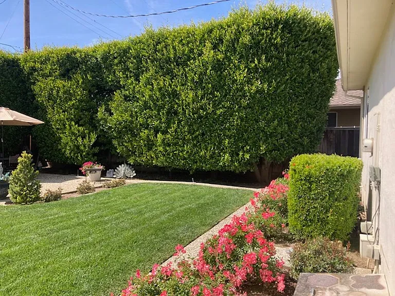 1599 San Gabriel Way — Photo 28