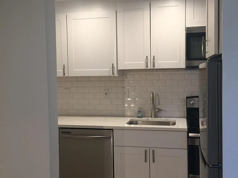 new renovated kitchen with quartz and SS