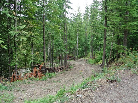 2nd image of Parcel #3 Downriver Estates Dr