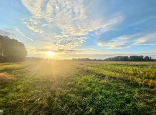 1142 Wales Center Rd, Goodells, MI 48027