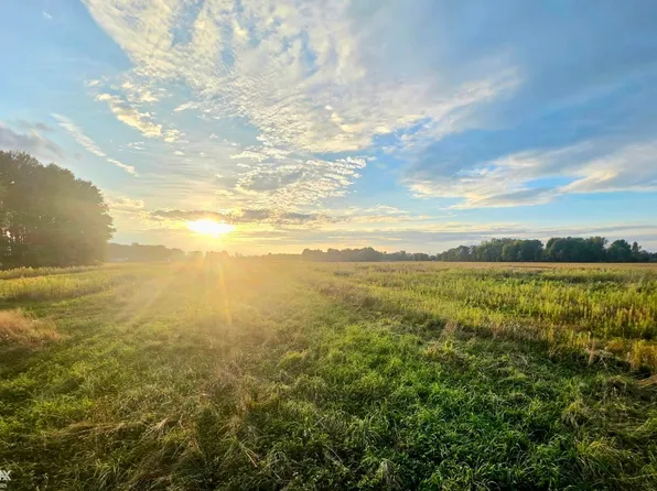 1142 Wales Center Rd, Goodells, MI 48027