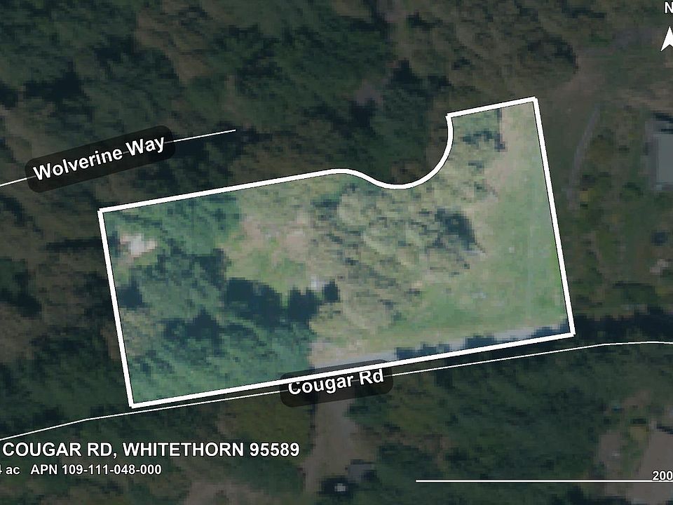 2nd image of 81 Cougar Rd