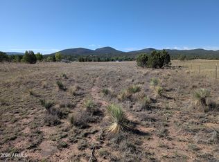 279 E Hubbard Ln, Young, AZ 85554