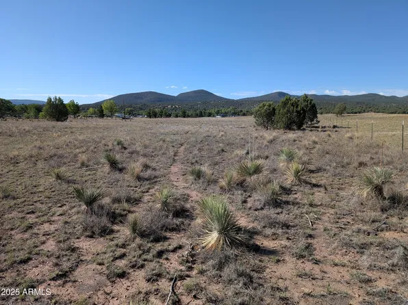 279 E Hubbard Lane #-, Young, AZ 85554