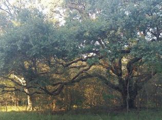 0 Pecan Dr, Damon, TX 77430