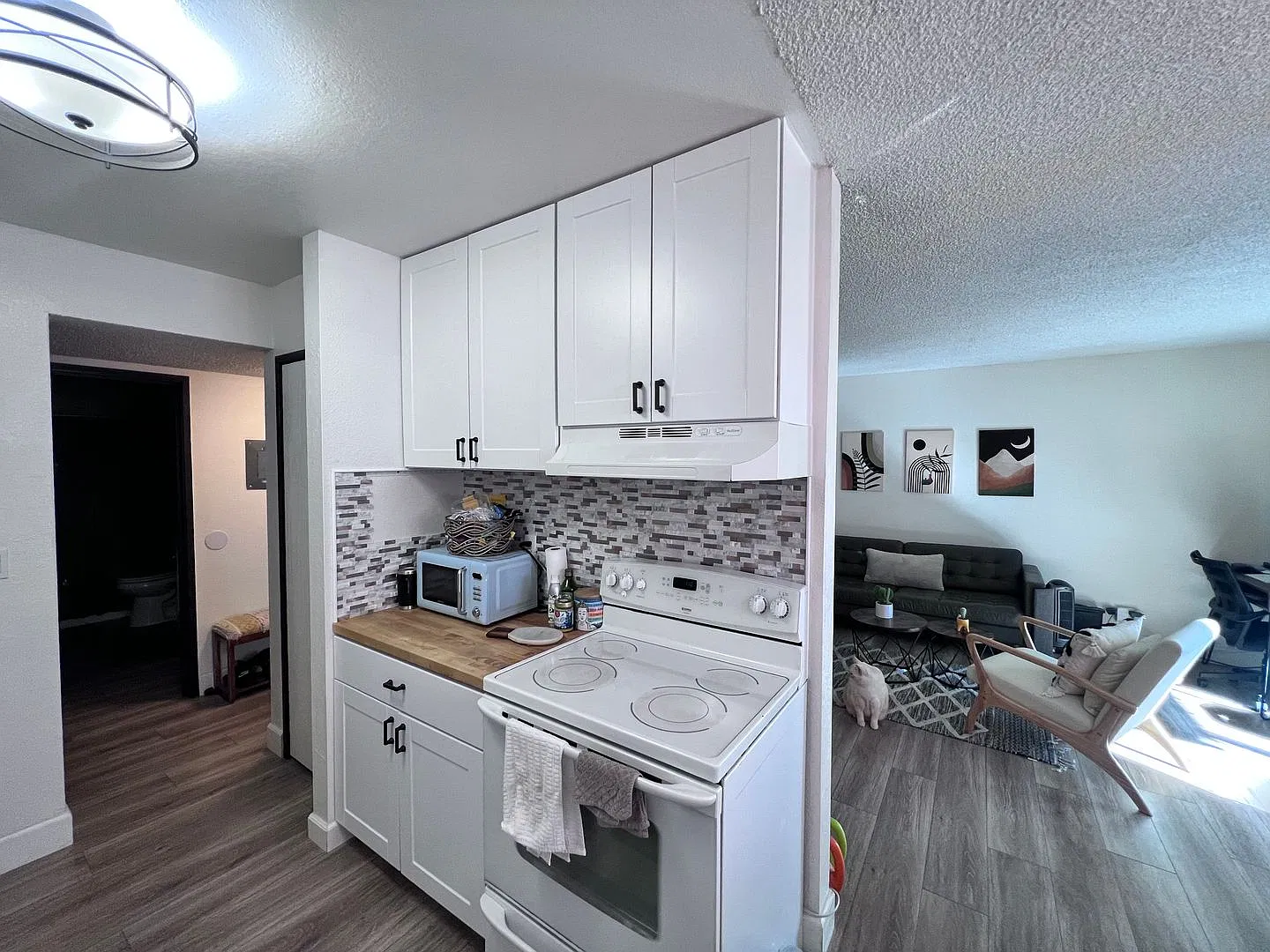4600 Neil Rd APT 29 — Photo 4