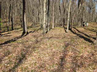 N Willow Ave Parcel J, Bitely, MI 49309