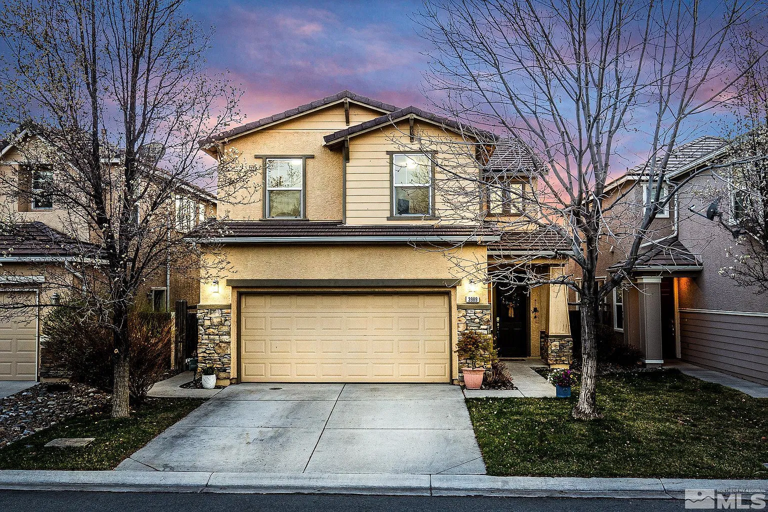 3989 Antinori Dr photo 1