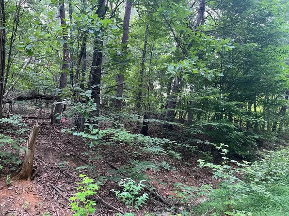 3278 Hillside Pl, White Pine, TN 37890