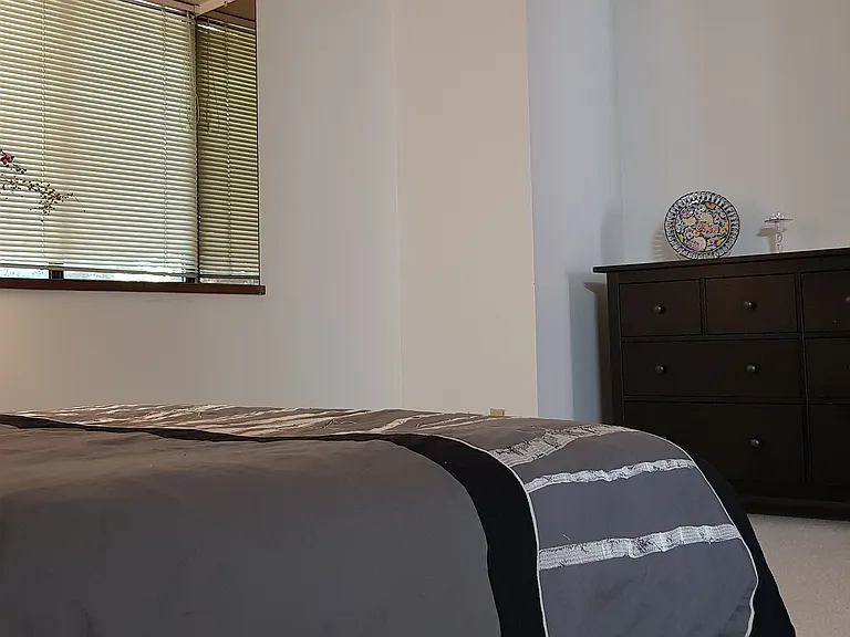 13230 Amble Greene Ct — Photo 16