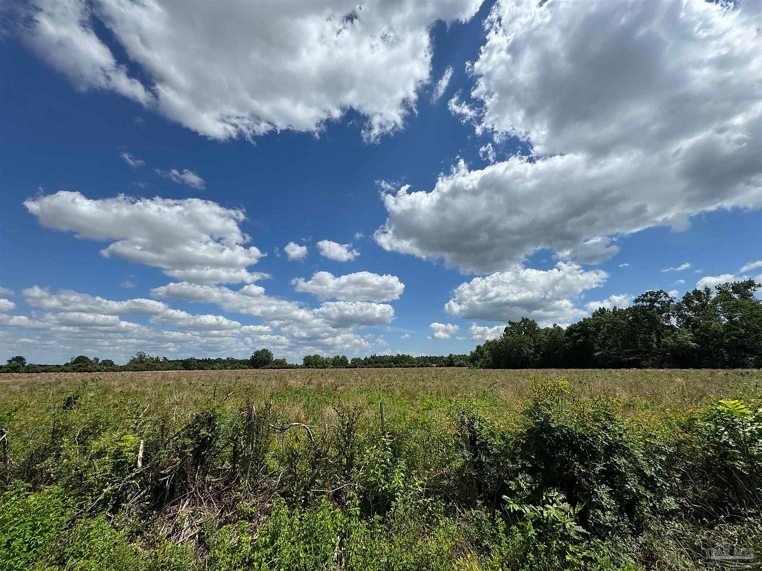 Brownsdale Loop Rd, Jay, FL 32565 MLS 639169 Zillow