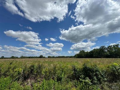 Brownsdale Loop Rd, Jay, FL, 32565