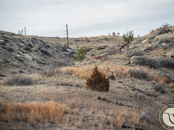 3rd image of 70 Rocky Top Rd